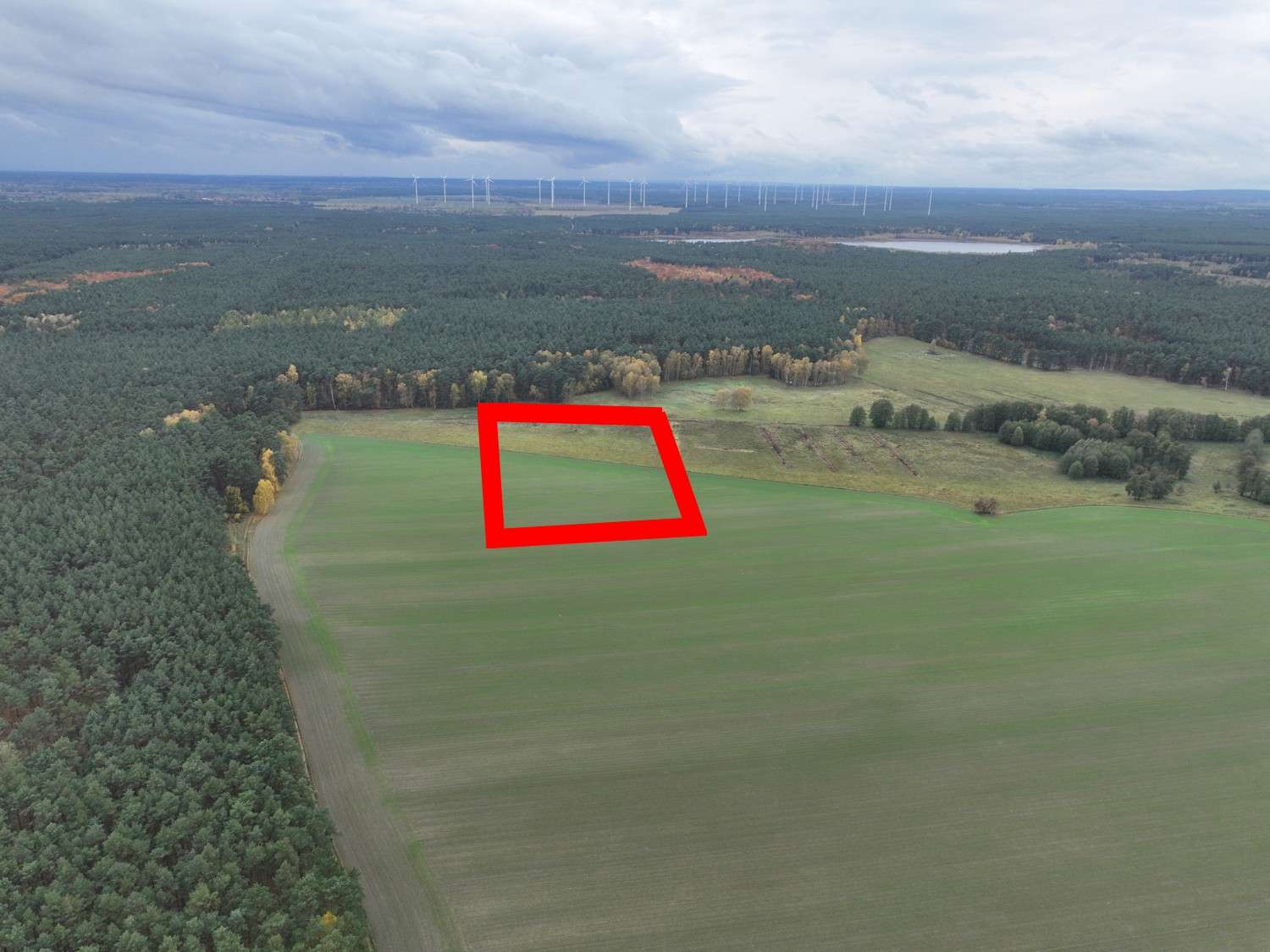 Thumbnail-Grundstück in Caminchen Alt Zauche 111.111,00 € 88729 m²