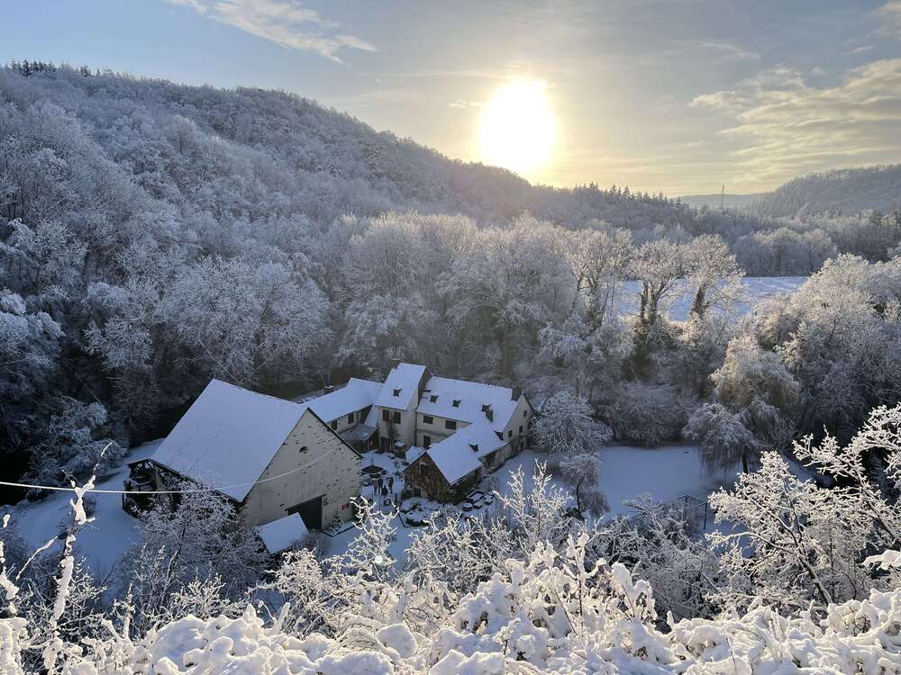 Thumbnail-Haus zum Kaufen in Pillig 2.980.000,00 € 515 m²