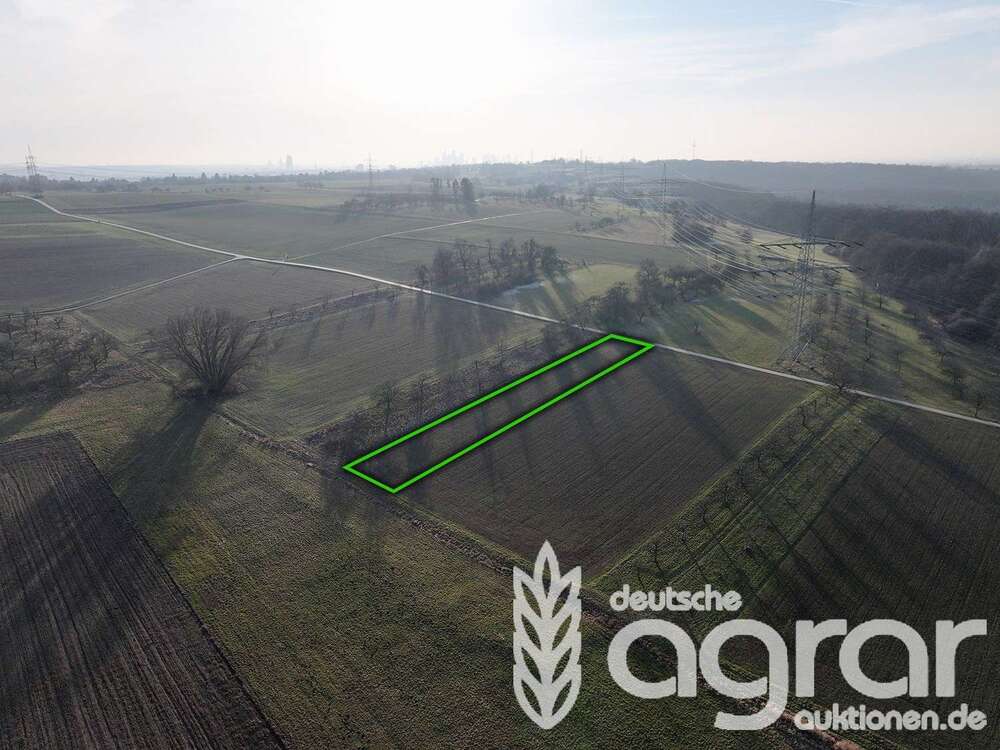 Thumbnail-Grundstück in Frankfurt am Main 11.900,00 € 1622 m²
