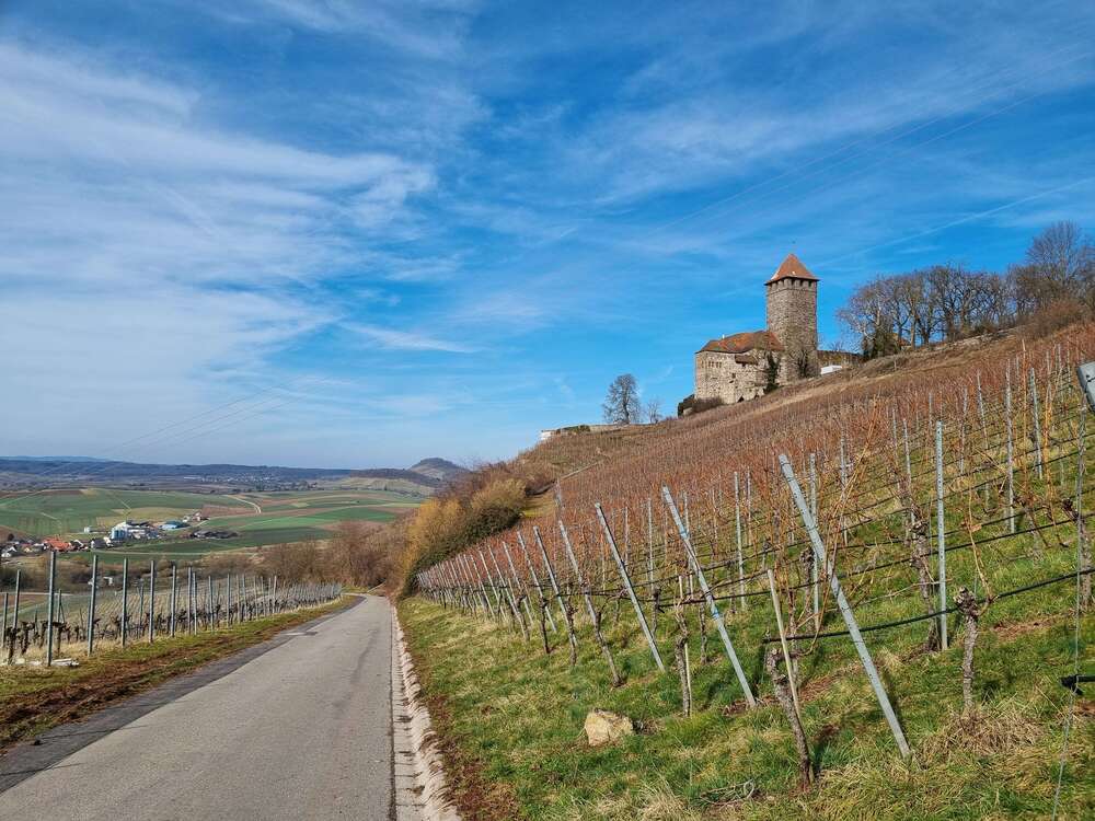 Thumbnail-Haus zum Kaufen in Oberstenfeld 599.900,00 € 136 m²