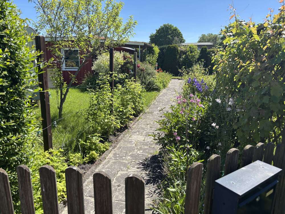 Thumbnail-Haus zum Kaufen in Ketzin (Havel) 84.000,00 € 50 m²