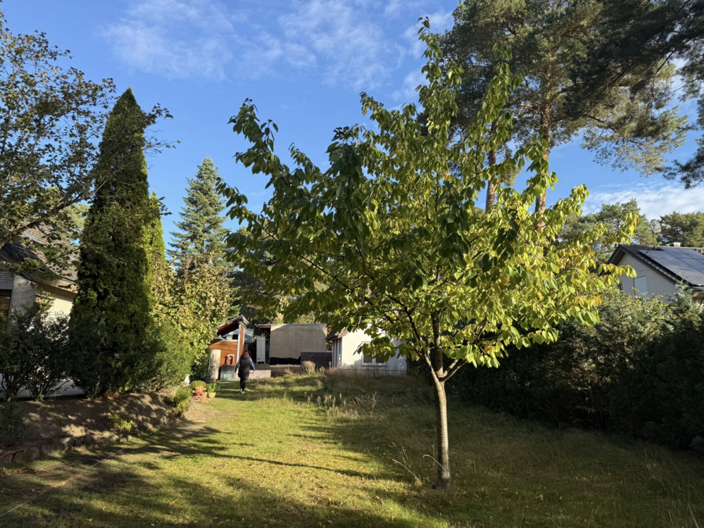 Thumbnail-Grundstück zu verkaufen in Königs Wusterhausen 89.000,00 € 456 m²