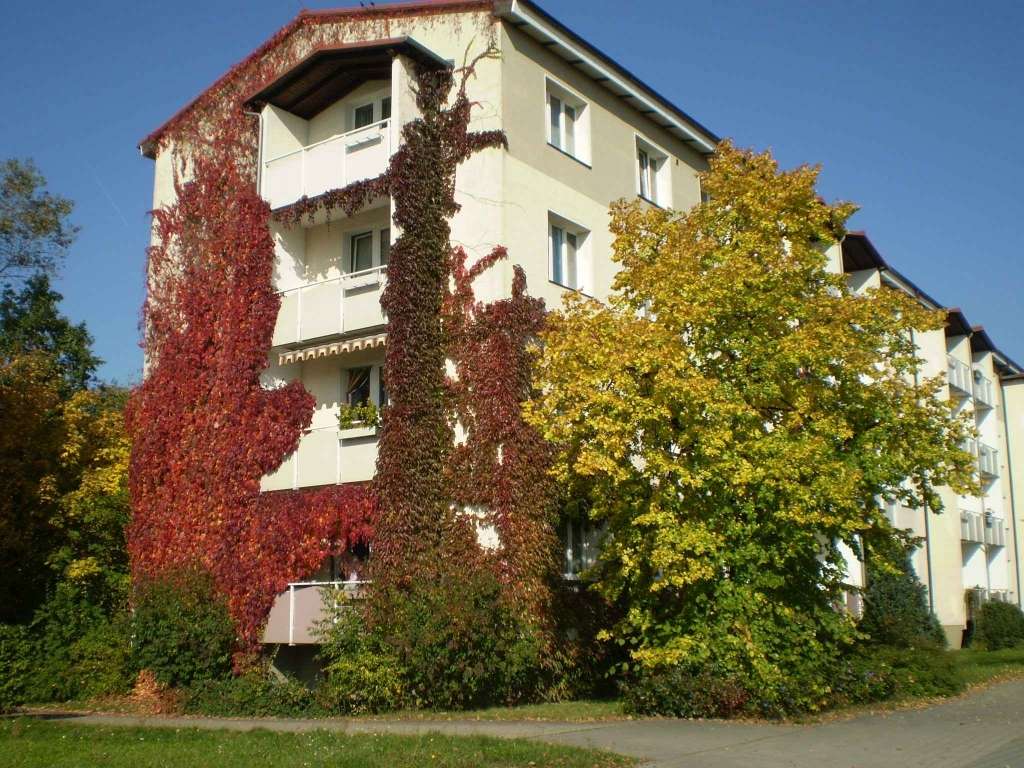 Thumbnail-Wohnung zum Mieten in Hoyerswerda 280,00 € 47.22 m²