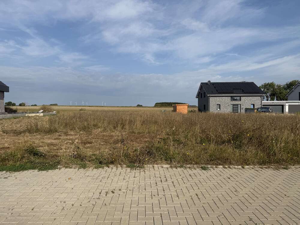 Thumbnail-Haus zum Kaufen in Querenhorst 346.000,00 € 166 m²