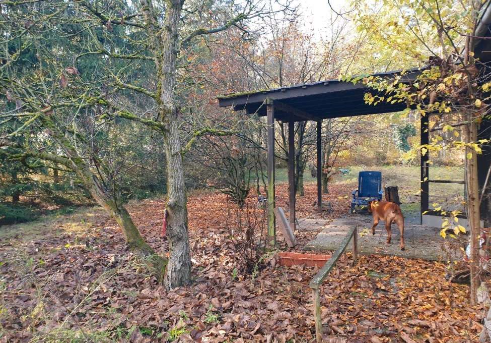 Thumbnail-Grundstück zu verkaufen in Rehfelde 259.000,00 € 1044 m²