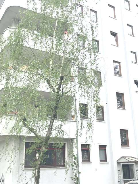 Thumbnail-Wohnung zum Mieten in Frankfurt 1.100,00 € 60 m²