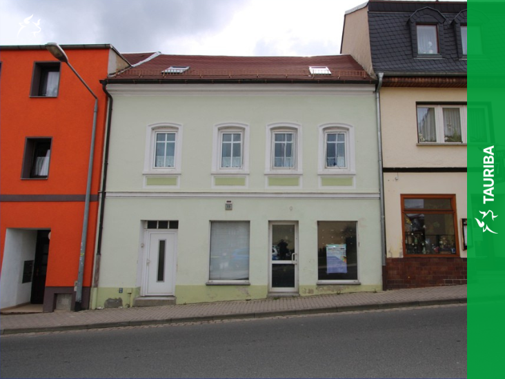 Thumbnail-Haus zum Kaufen in Meerane 160.000,00 € 263 m²