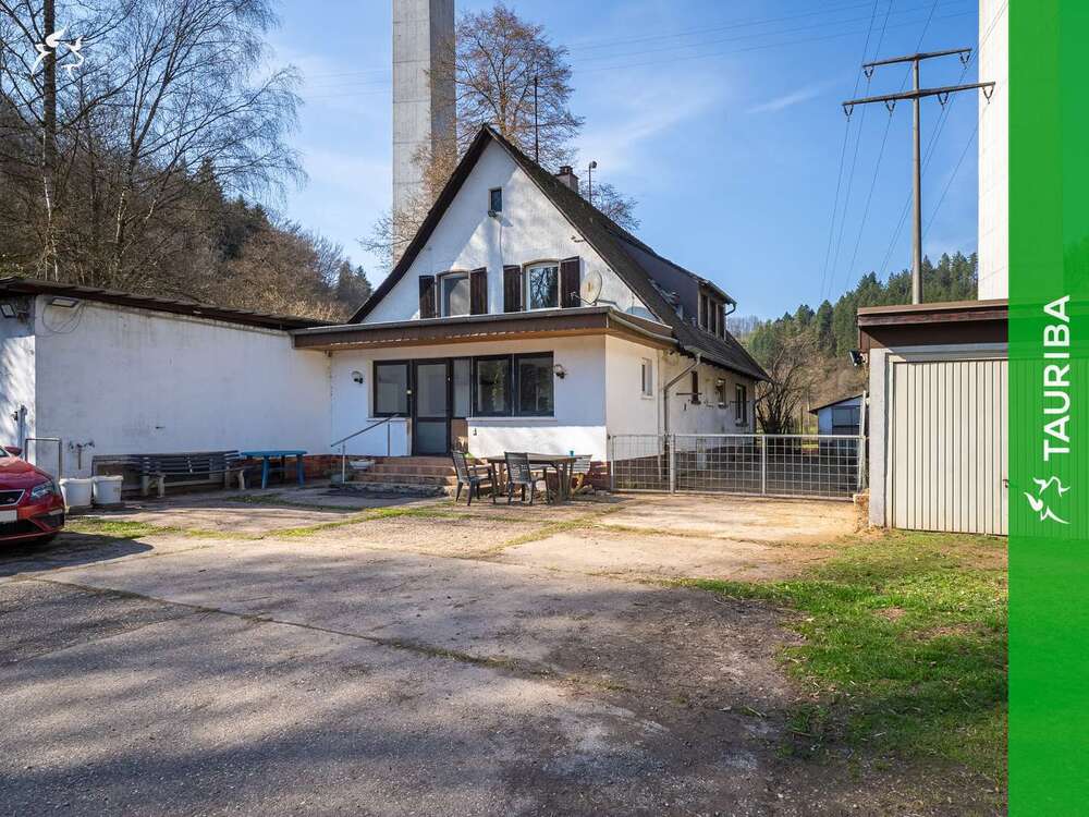 Thumbnail-Haus zum Kaufen in Thaleischweiler-Fröschen, Südwestpfalz (Kreis) 427.000,00 € 200 m²