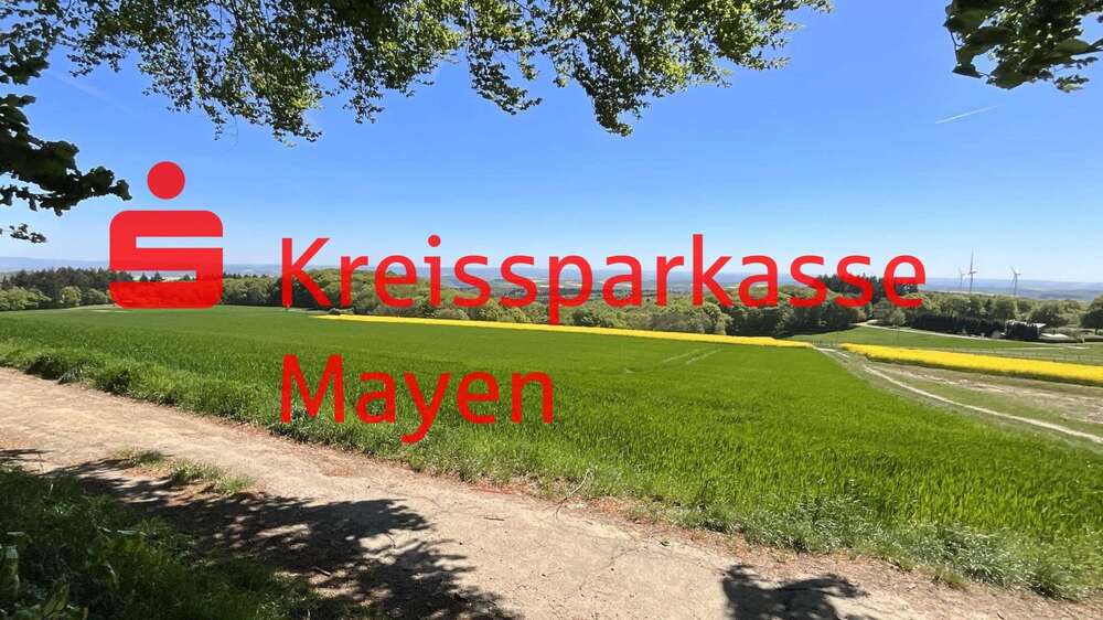 Thumbnail-Grundstück zu verkaufen in Mayen 87.500,00 € 350 m²