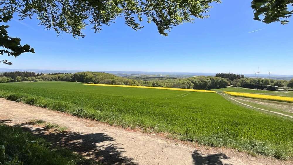 Thumbnail-Grundstück zu verkaufen in Mayen 87.500,00 € 350 m²