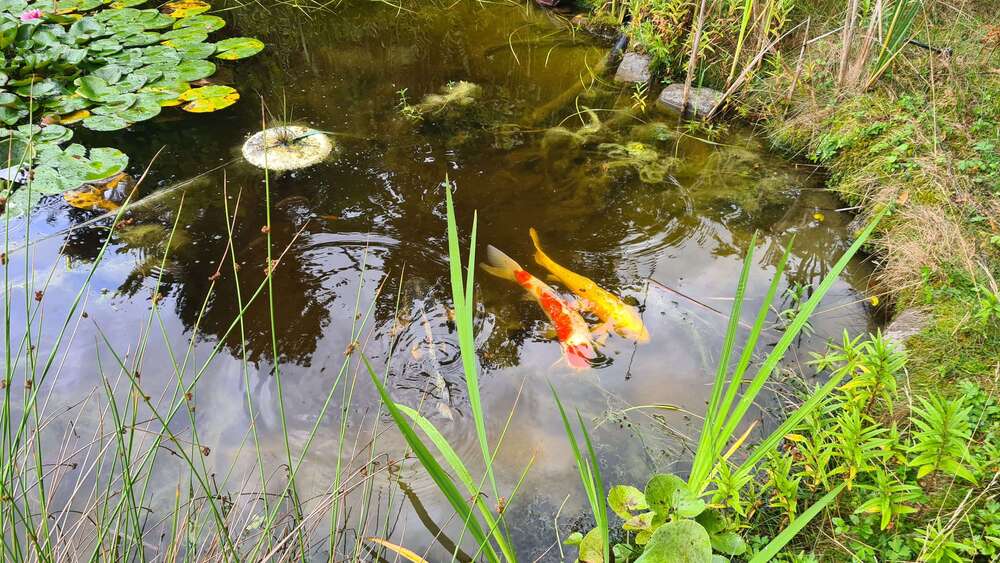 Thumbnail-Grundstück zu verkaufen in Panketal 245.000,00 € 620 m²