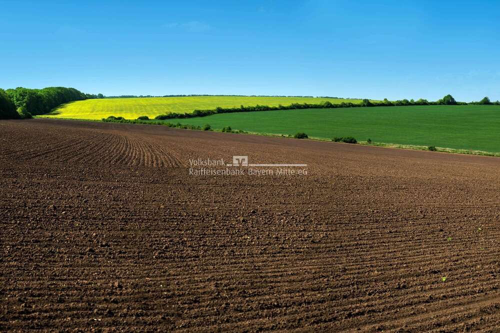 Thumbnail-Grundstück in Vohburg 59.000,00 € 4377 m²