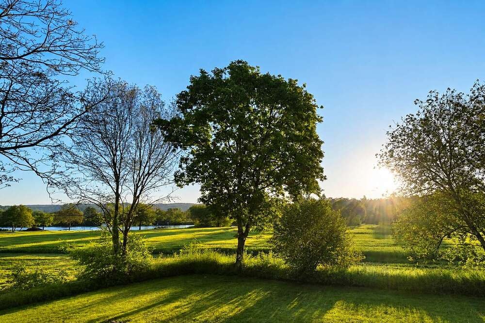 Thumbnail-Haus zum Kaufen in Bad Rappenau 1.079.000,00 € 294 m²
