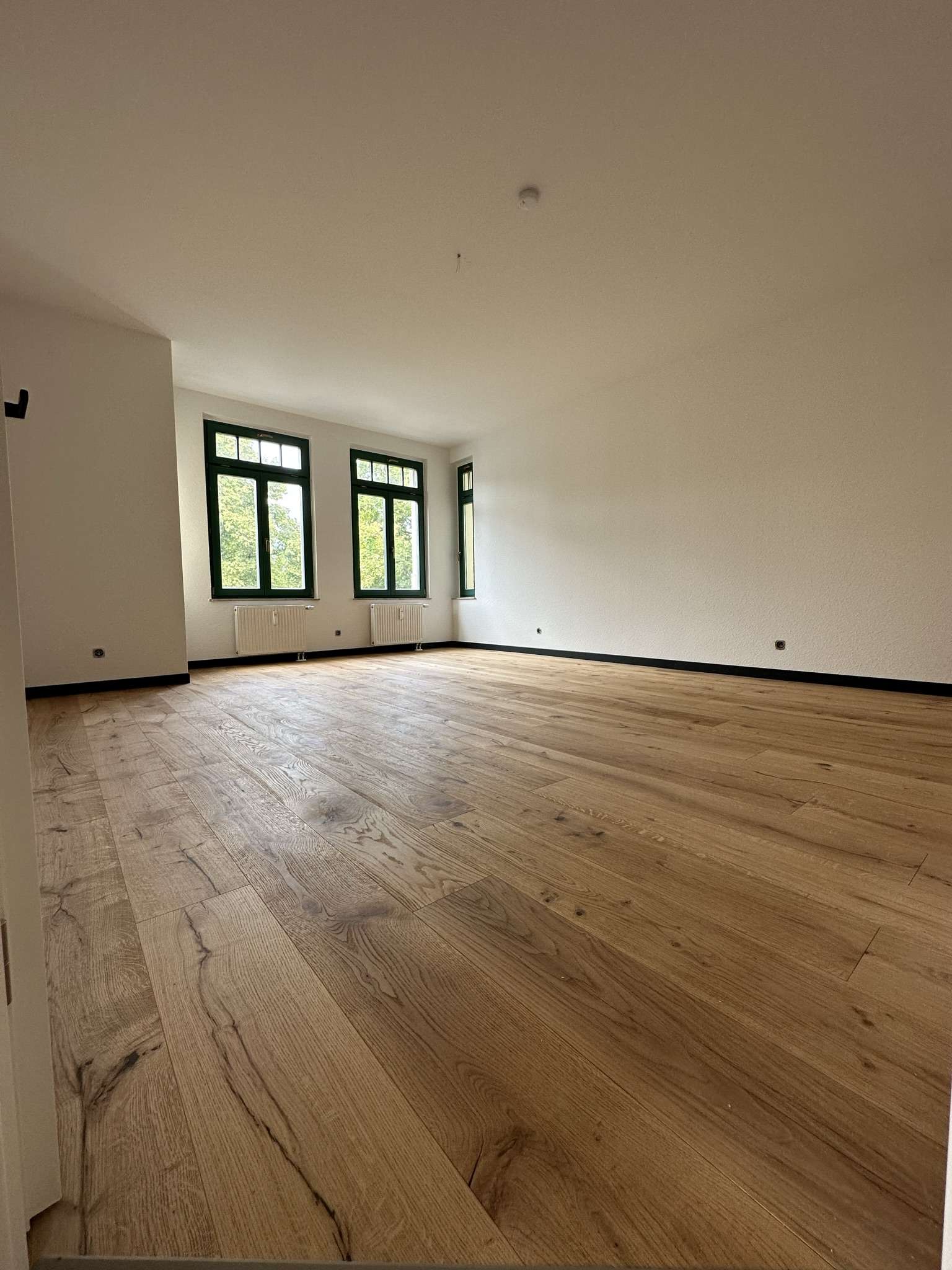 Thumbnail-Wohnung zum Mieten in Zwickau 500,00 € 77.81 m²