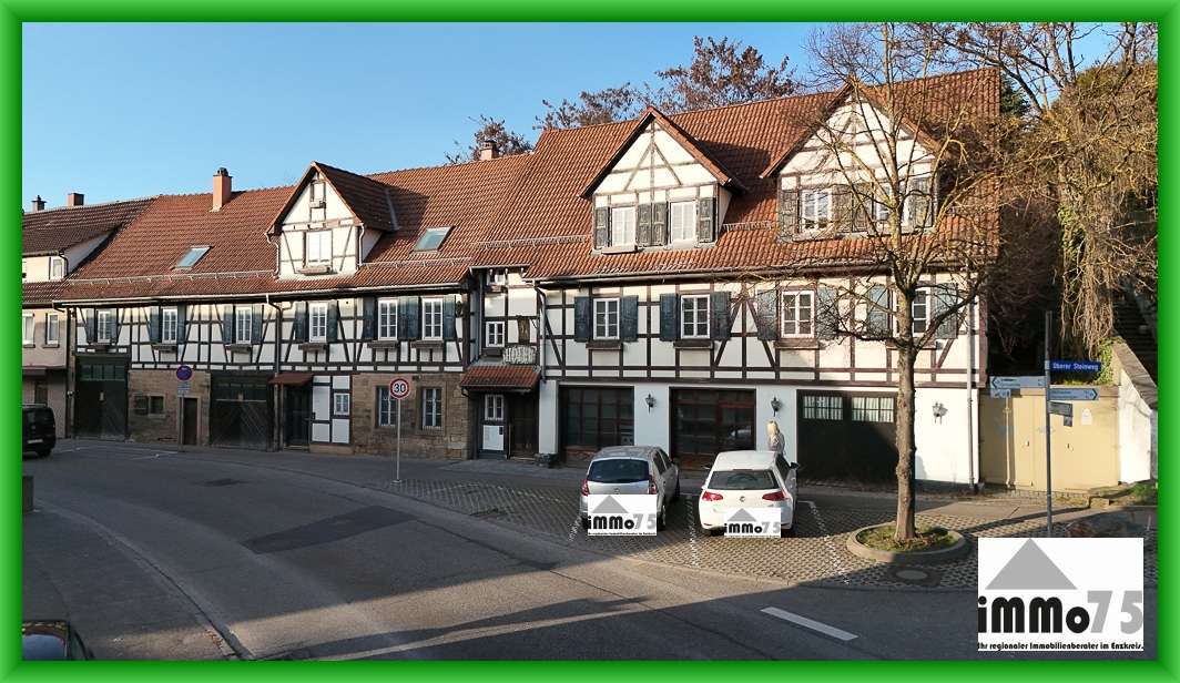 Thumbnail-Haus zum Kaufen in Knittlingen 895.000,00 € 460 m²
