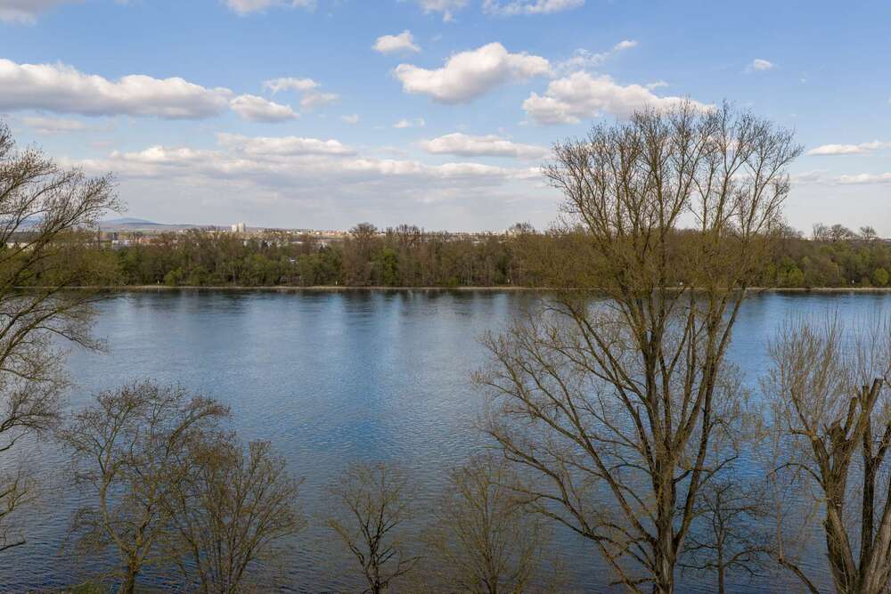 Thumbnail-Grundstück zu verkaufen in Mainz 149.000,00 € 215 m²