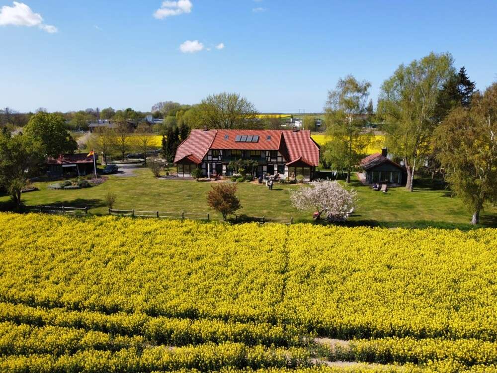 Thumbnail-Haus zum Kaufen in Sehlen Teschenhagen 2.000.000,00 € 400 m²