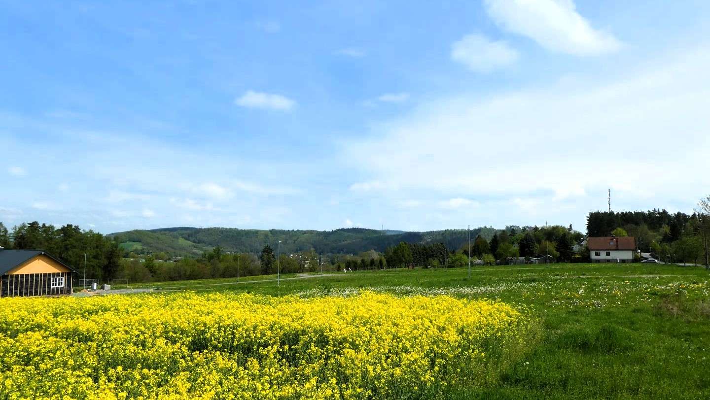Thumbnail-Grundstück zu verkaufen in Elsterberg 69.000,00 € 920 m²