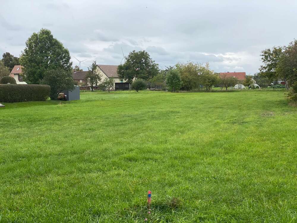 Thumbnail-Grundstück zu verkaufen in Buckow 70.000,00 € 2315 m²