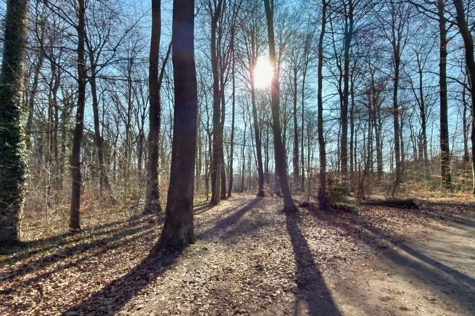 Thumbnail-Grundstück zu verkaufen in Rosengarten 325.000,00 € 1100 m²