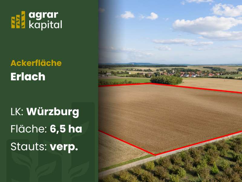Thumbnail-Grundstück in Erlach 622.000,00 € 65481 m²