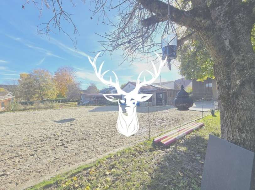 Thumbnail-Haus zum Kaufen in Leibertingen 749.000,00 € 298 m²