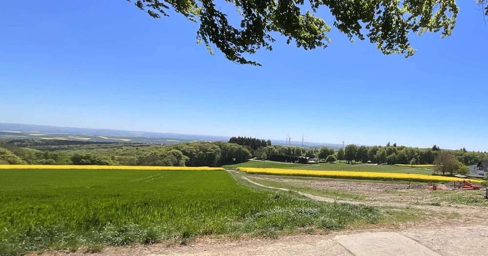 Thumbnail-Grundstück zu verkaufen in Mayen 96.000,00 € 384 m²