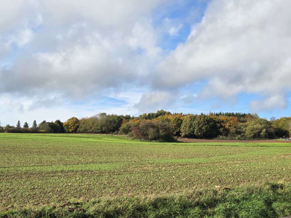 Thumbnail-Haus zum Kaufen in Köln 685.000,00 € 100 m²