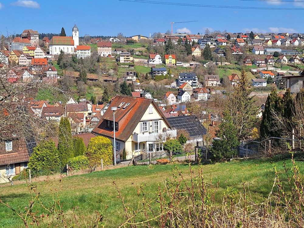 Thumbnail-Grundstück zu verkaufen in Altensteig 154.000,00 € 424 m²