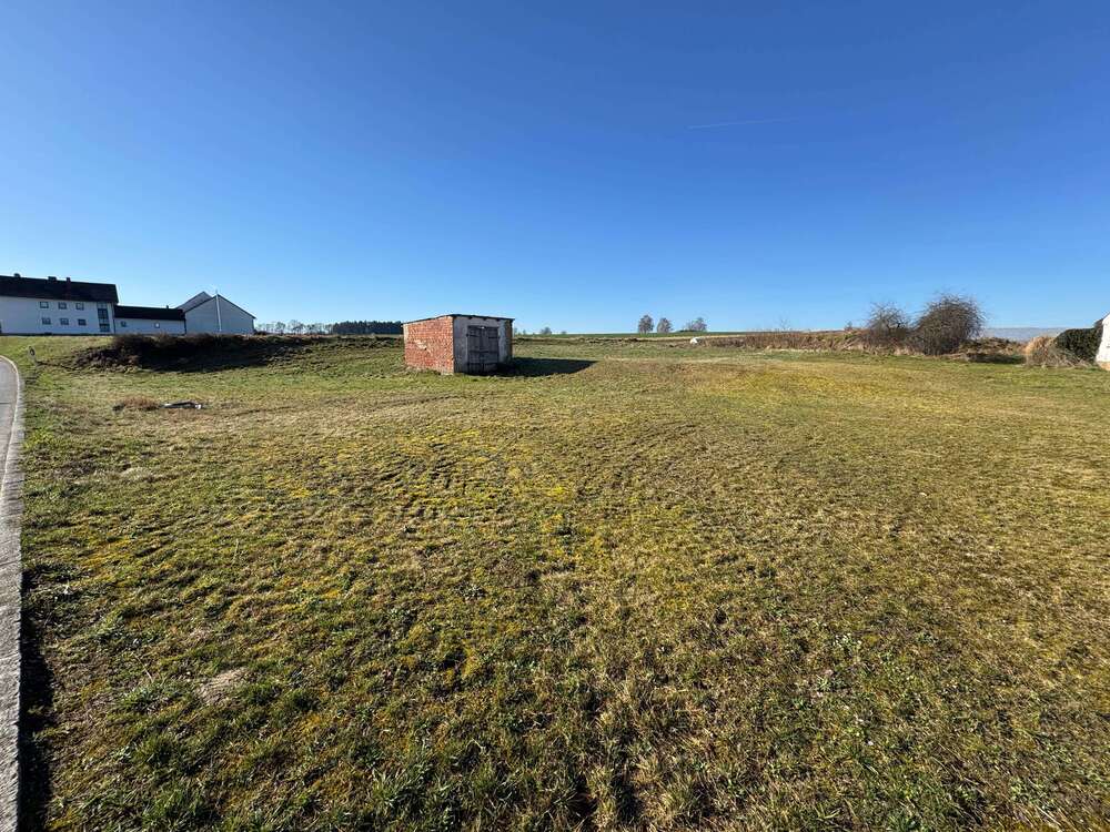 Thumbnail-Grundstück zu verkaufen in Diepoltshofen 395.000,00 € 1104 m²