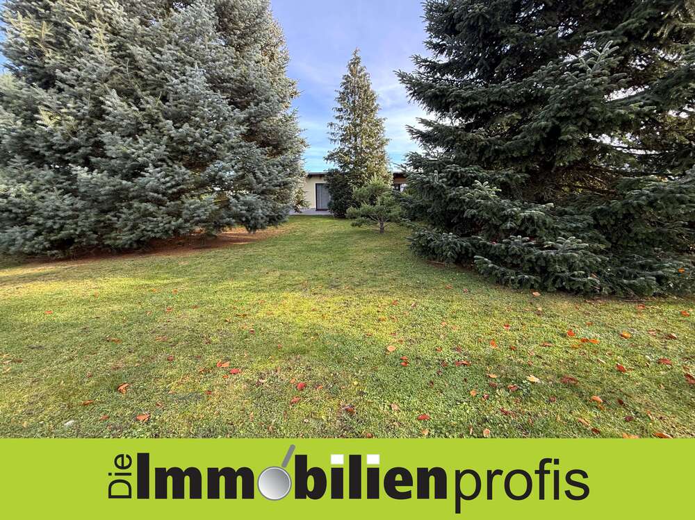 Thumbnail-Haus zum Kaufen in Plauen 362.000,00 € 113 m²