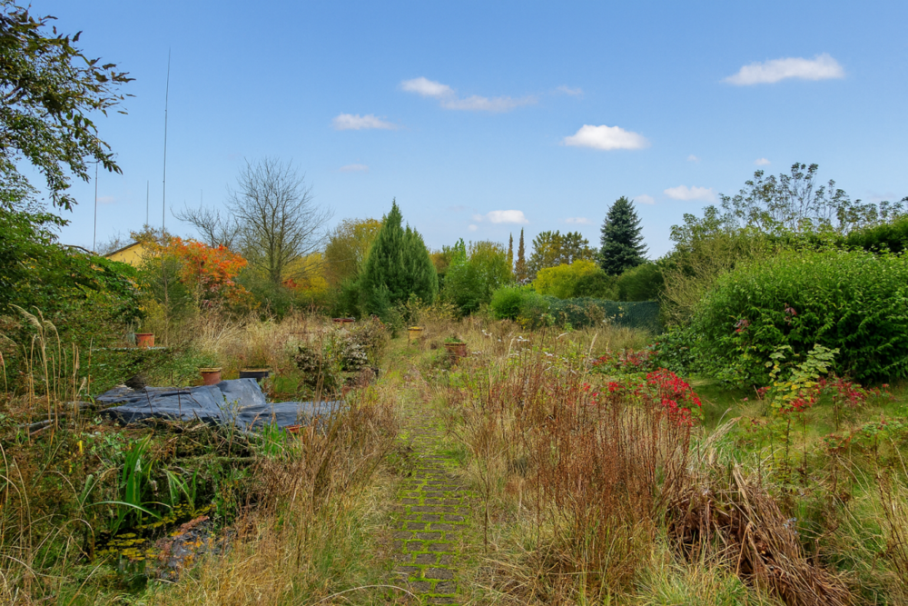 Thumbnail-Grundstück zu verkaufen in Münster (Altheim) 320.000,00 € 700 m²