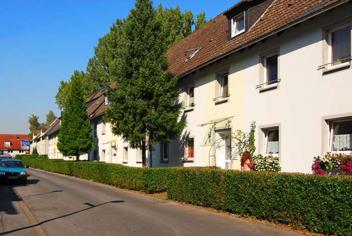Thumbnail-Wohnung zum Mieten in Gelsenkirchen 429,00 € 58.5 m²