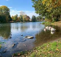 Thumbnail-Wohnung zum Mieten in Fürstenwalde 950,00 € 79.08 m²