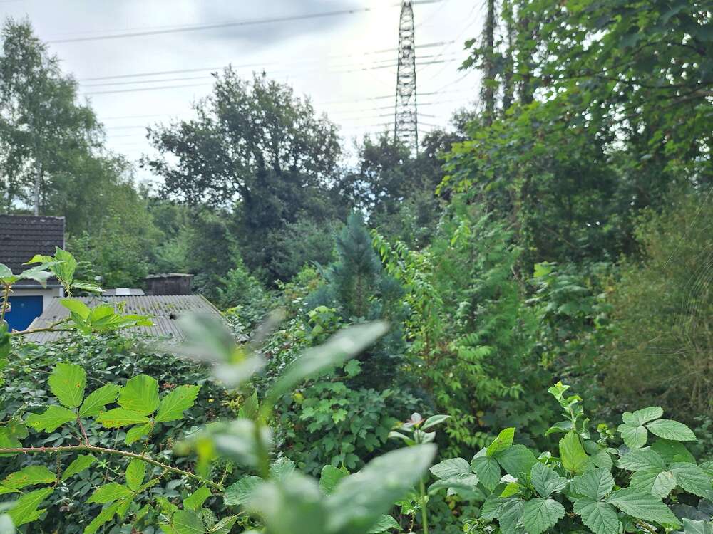 Thumbnail-Grundstück zu verkaufen in Bremen 125.000,00 € 11776 m²