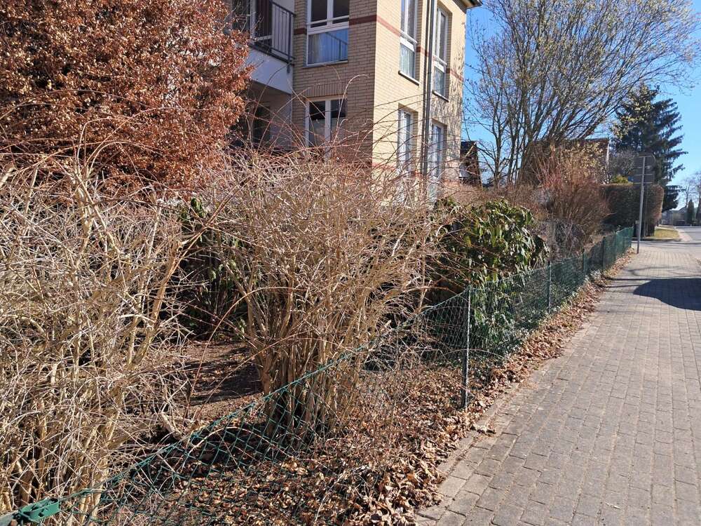 Thumbnail-Wohnung zum Kaufen in Stahnsdorf 249.000,00 € 56.67 m²