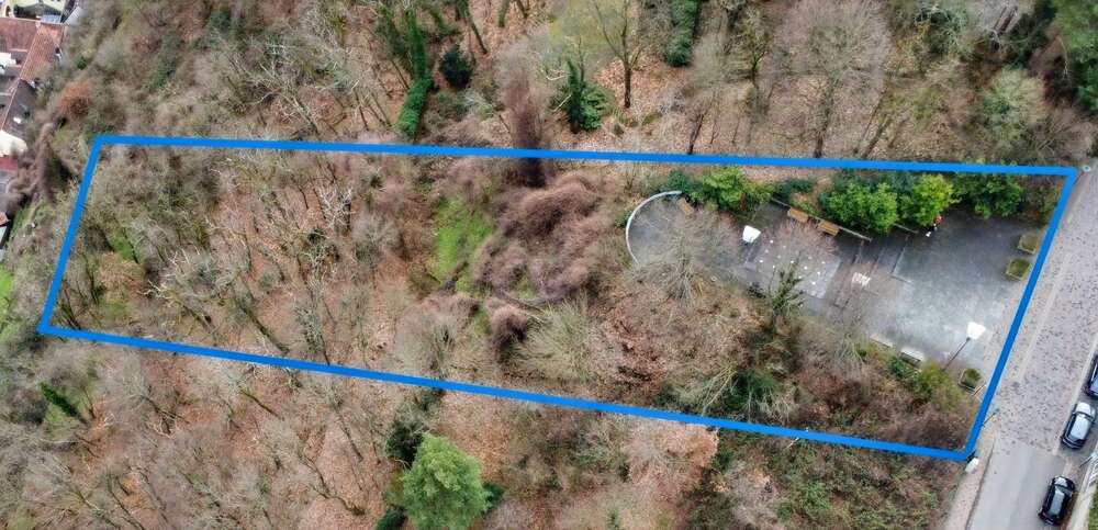 Thumbnail-Grundstück zu verkaufen in Bad Dürkheim 675.000,00 € 3031 m²