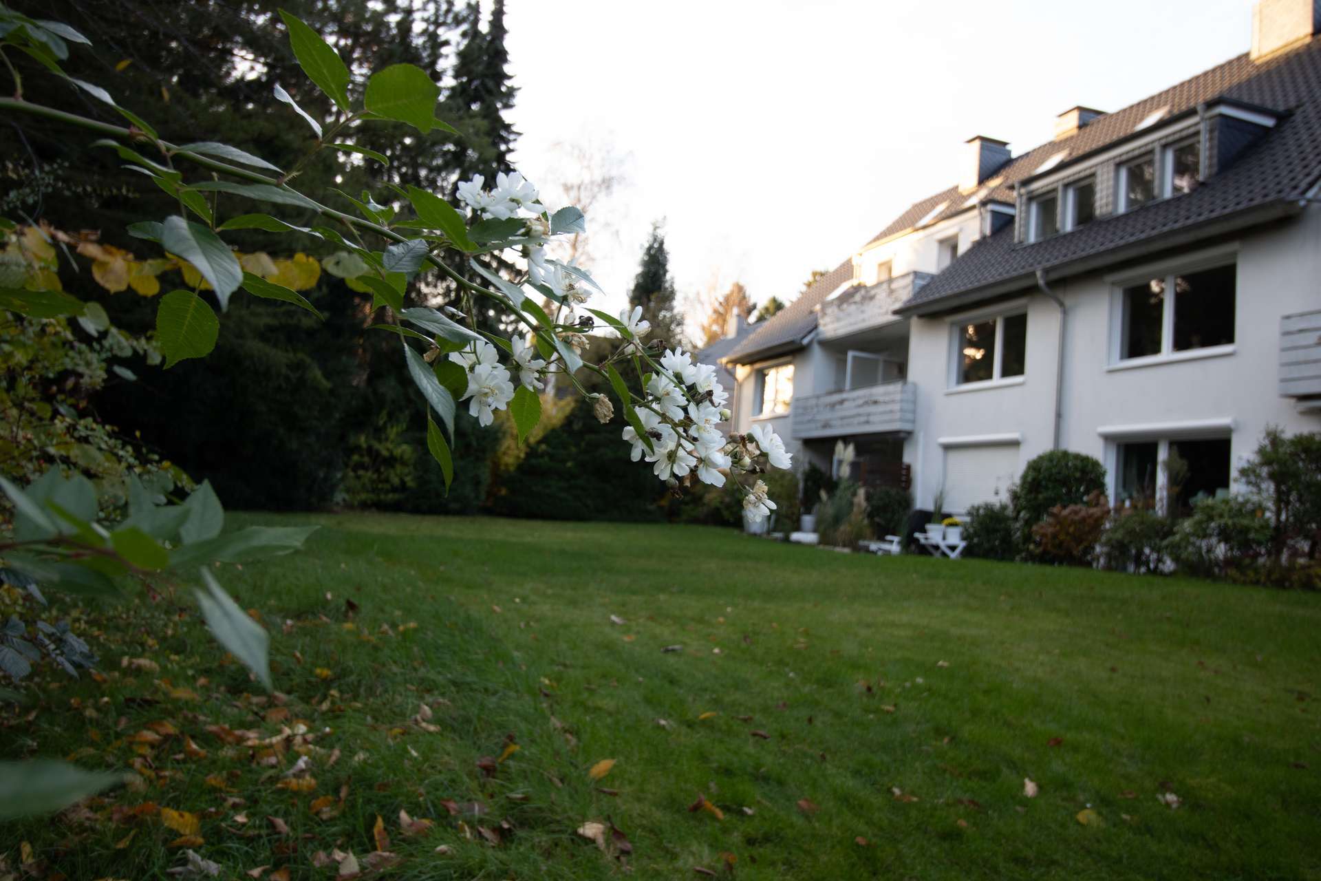 Thumbnail-Wohnung zum Kaufen in Hamburg 459.000,00 € 75 m²