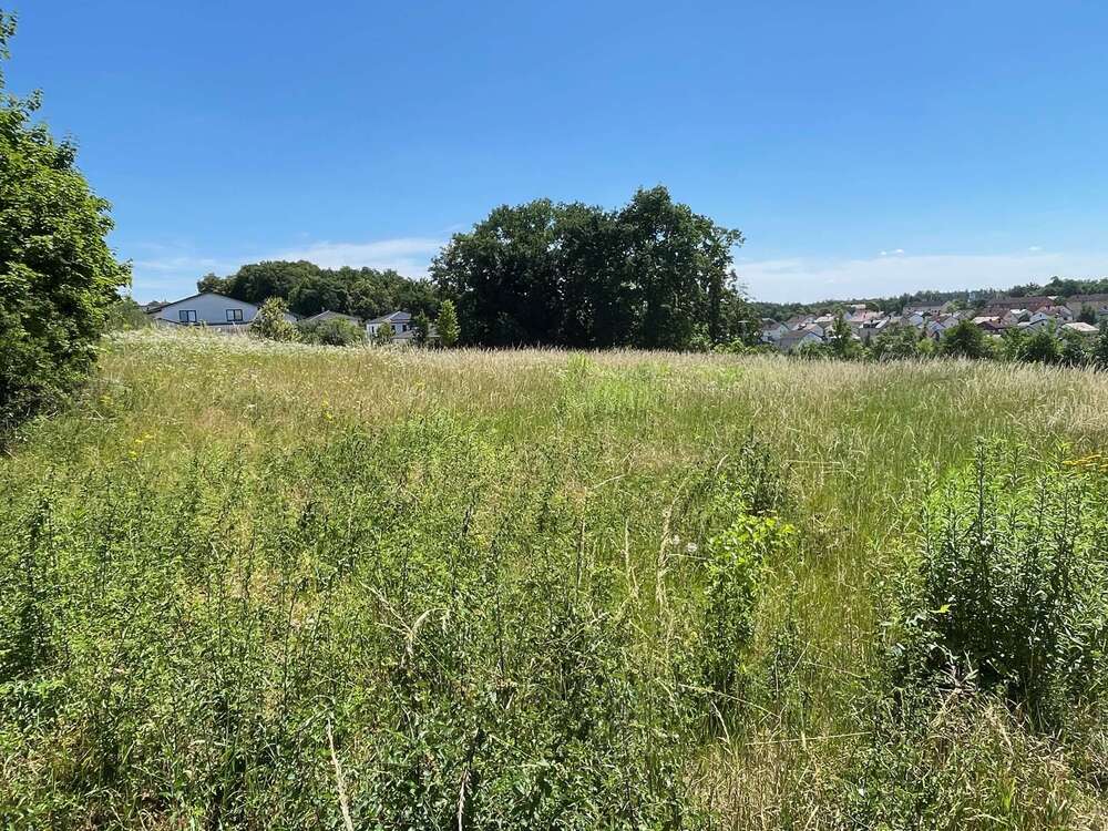 Thumbnail-Grundstück zu verkaufen in Burglengenfeld 494.549,00 € 1032 m²