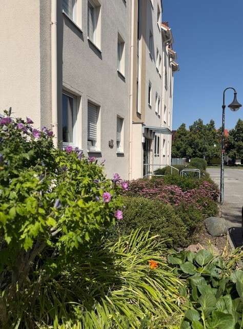 Thumbnail-Wohnung zum Kaufen in Borsdorf 150.000,00 € 60.25 m²