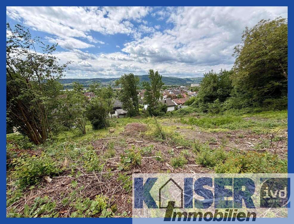 Thumbnail-Grundstück zu verkaufen in Dogern 229.000,00 € 1407 m²