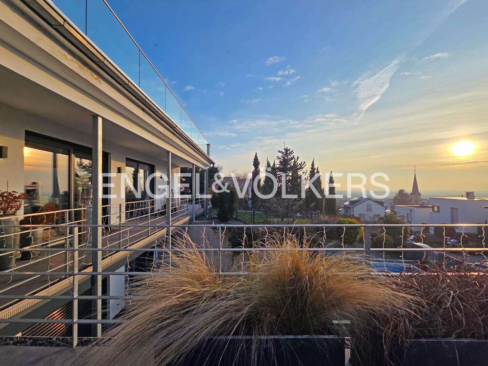 Thumbnail-Haus zum Kaufen in Nußloch 2.490.000,00 € 332 m²