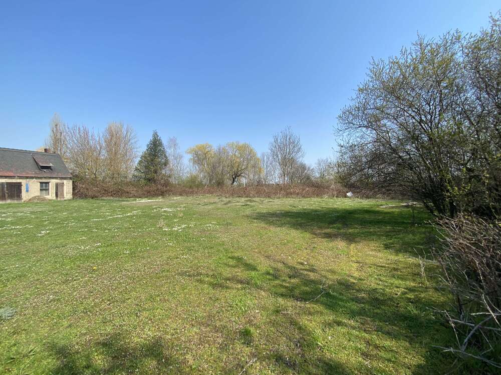 Thumbnail-Grundstück zu verkaufen in Wiedemar 90.000,00 € 726 m²