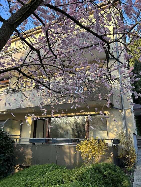 Thumbnail-Wohnung zum Kaufen in Dortmund 132.000,00 € 35 m²