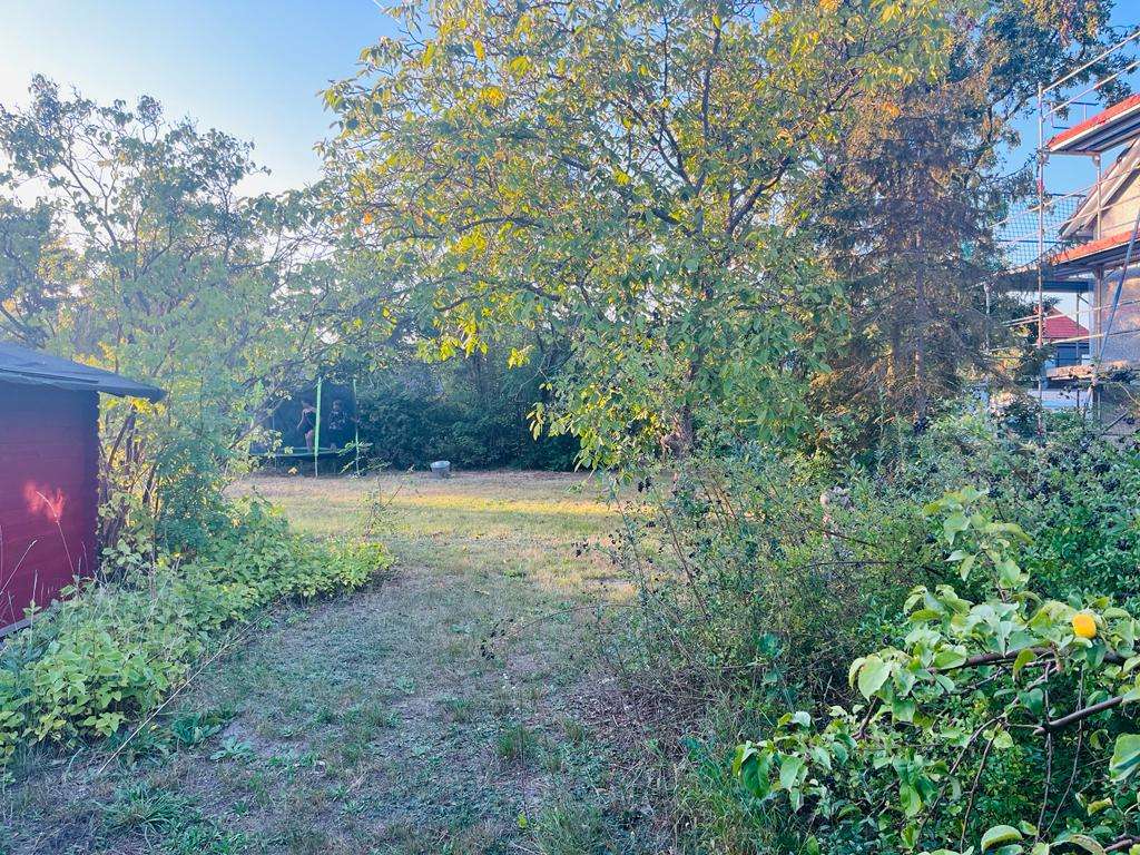 Thumbnail-Grundstück zu verkaufen in Schulzendorf 229.000,00 € 523 m²