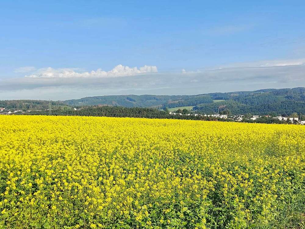 Thumbnail-Haus zum Kaufen in Wuppertal 32.000.000,00 € 160 m²