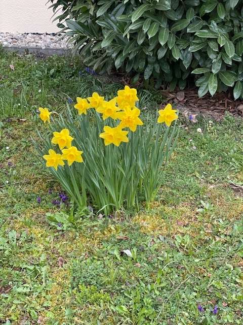 Thumbnail-Wohnung zum Kaufen in Reichenbach an der Fils 239.000,00 € 67 m²