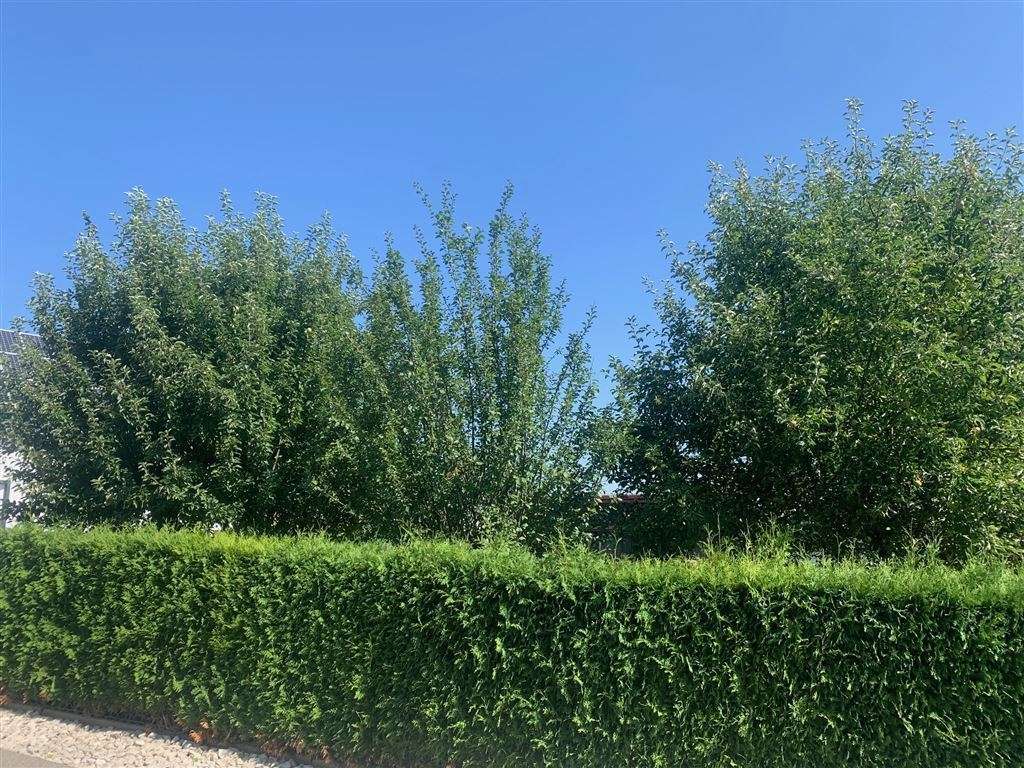 Thumbnail-Grundstück zu verkaufen in Sinzing , Oberpf 149.000,00 € 302 m²