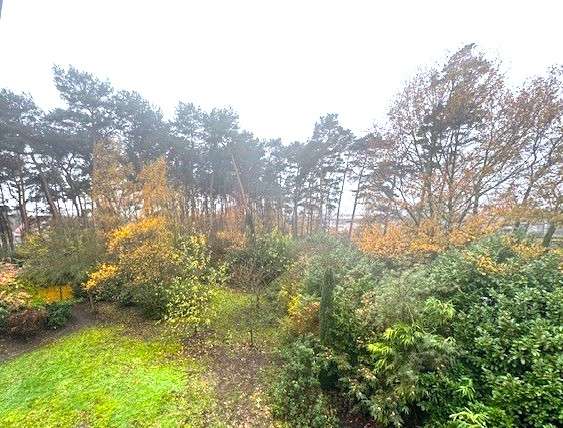 Thumbnail-Haus zum Kaufen in Verl 629.000,00 € 198 m²