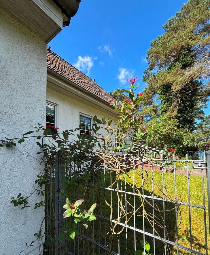 Thumbnail-Haus zum Kaufen in Potsdam 722.500,00 € 170 m²